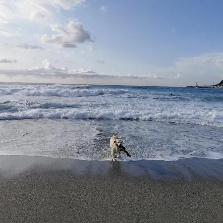 Itaca 게스트하우스 바라체