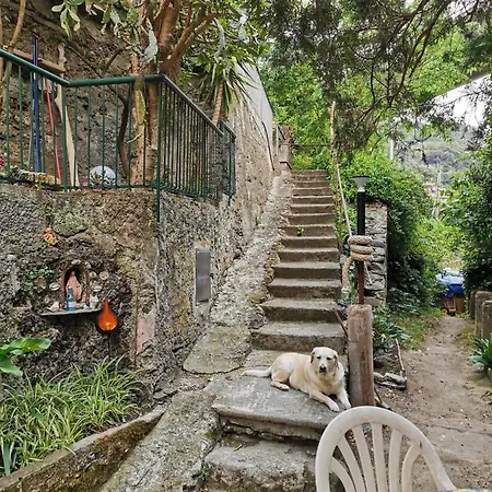 Itaca 게스트하우스 *