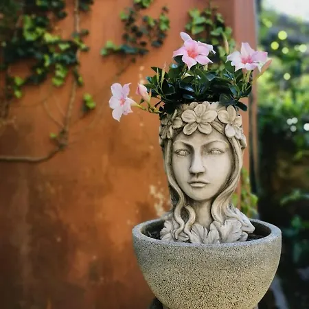 بيت ضيافة Itaca فاراتسي