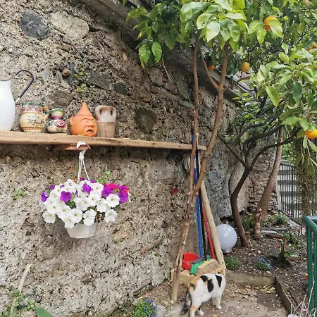 Itaca Pensión