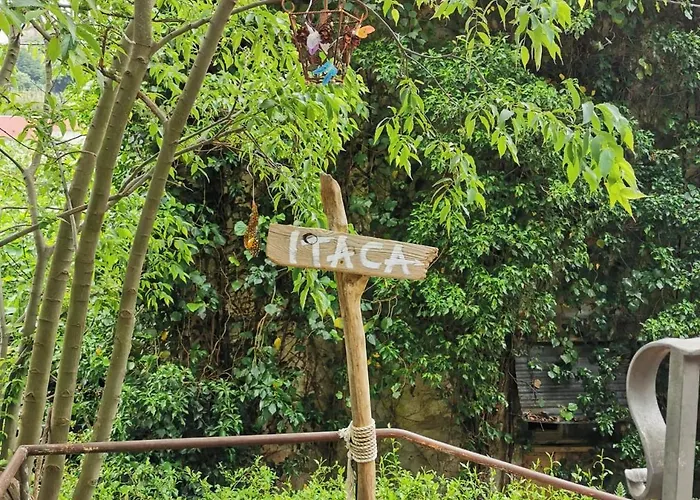 Itaca *